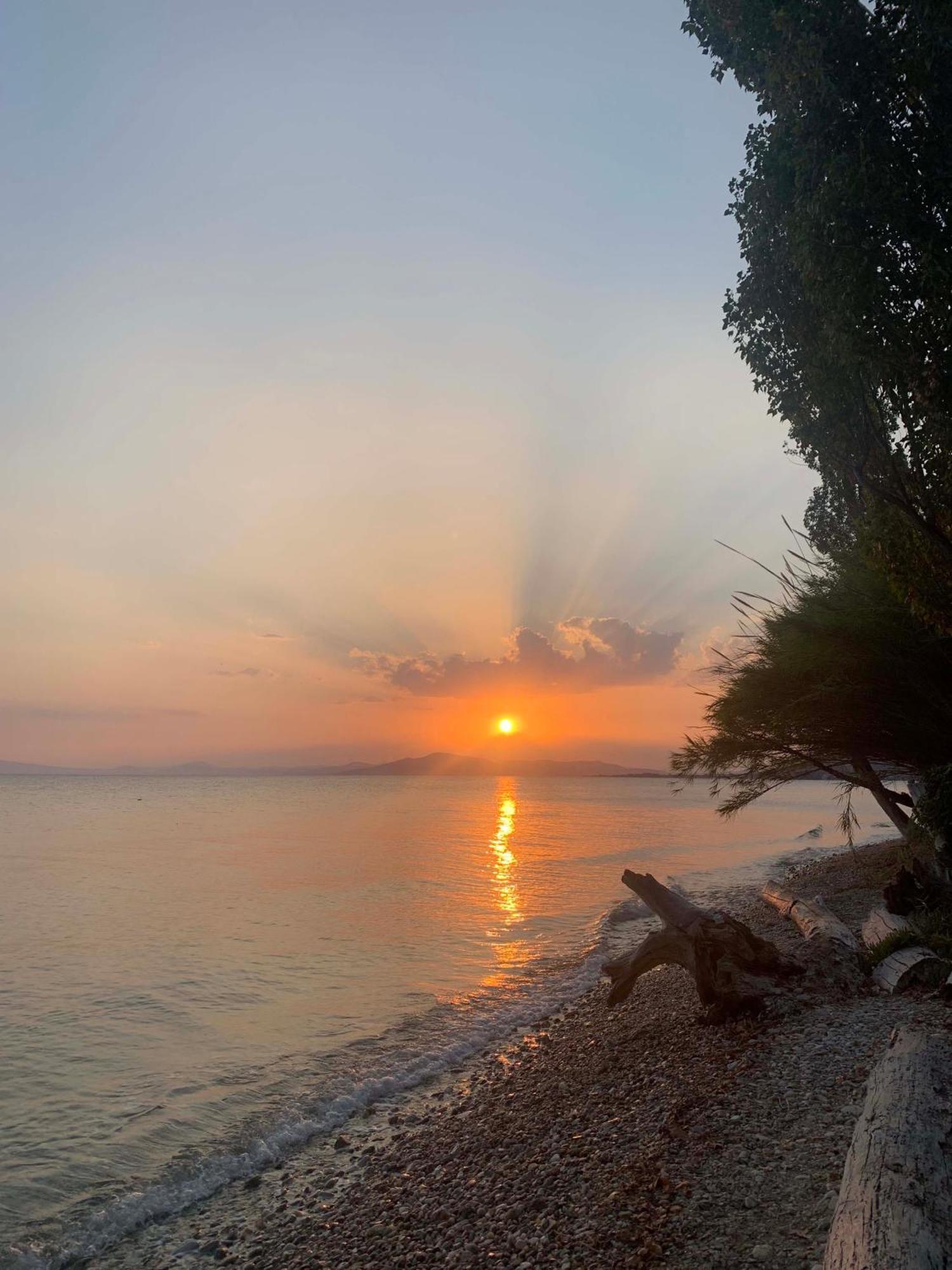 ξενωνας νιμπη Appartement Koropi